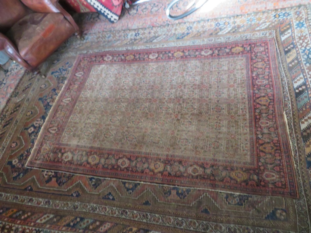 A nineteenth-century Persian Fereghan wool rug featuring an intricate all-over floral lattice pattern framed by navy and terracotta borders. View XXI