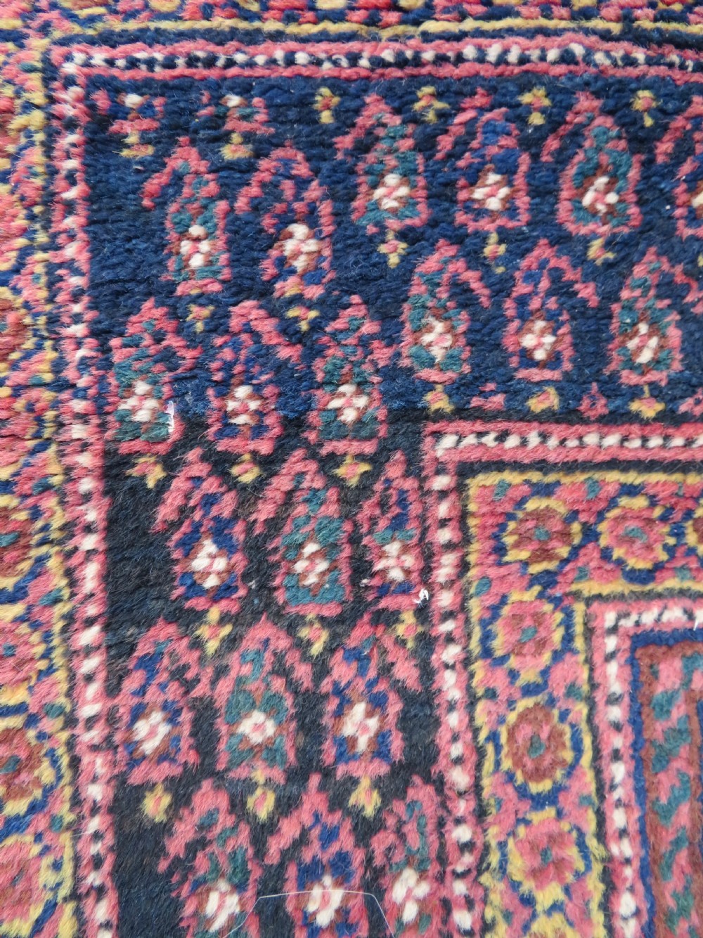 An antique hand-knotted Afshar wool rug featuring a repeating geometric motif on an ivory ground with dark blue and terracotta decorative borders. View XIII