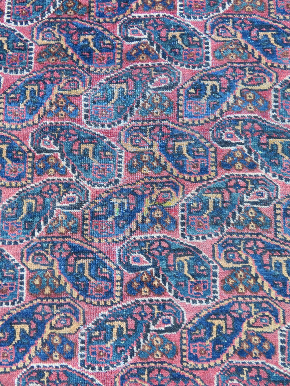 An antique hand-knotted wool Afshar tribal rug featuring a repeating boteh pattern on a terracotta field with geometric blue and cream borders. View IV