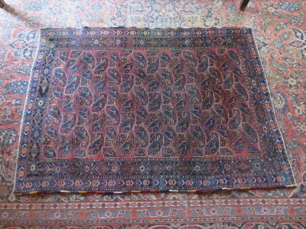 An antique hand-knotted wool Afshar tribal rug featuring a repeating boteh pattern on a terracotta field with geometric blue and cream borders. View XVI