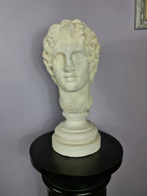 19th Century Life Size Plaster Bust of Alexander