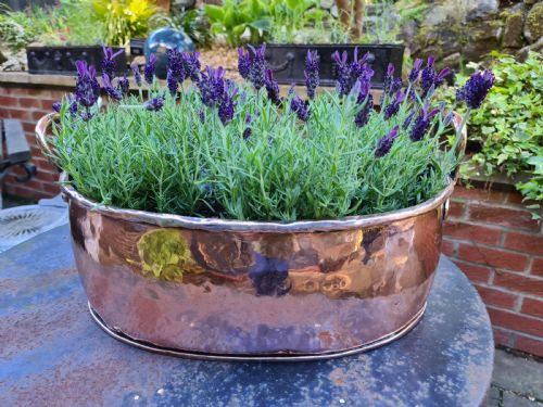Large Oval Early 19th Century Copper Pot