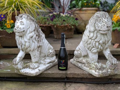 A WELL PROPORTIONED PAIR OF 19TH CENTURY FRENCH MEDICI LIONS - ADDITIONAL PHOTO 7