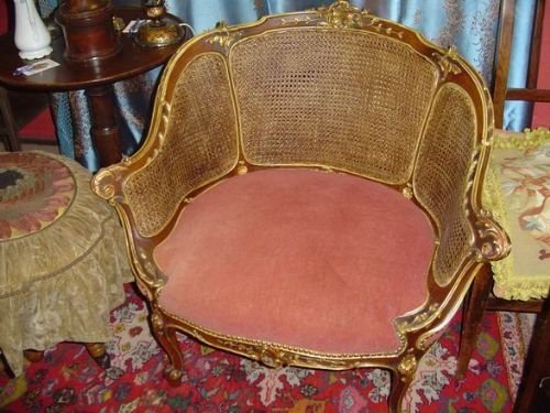 A French Antique Kingwood Bergere Armchair