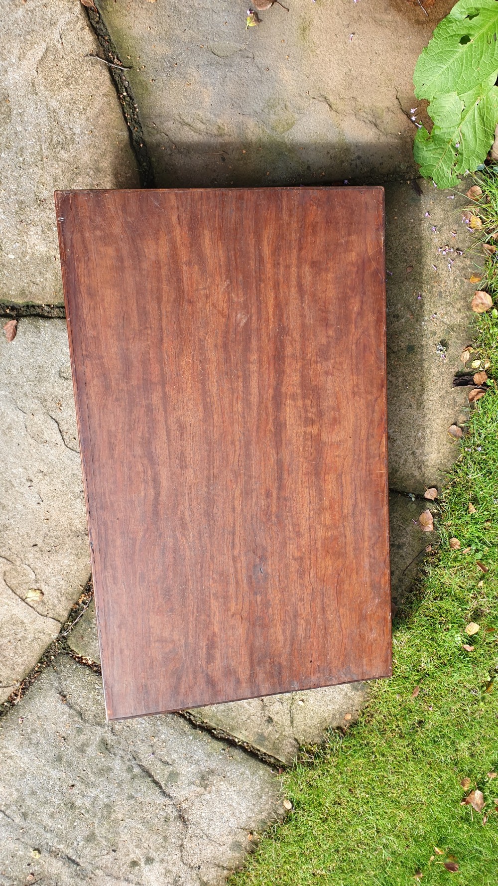 Small Handsome Edwardian Butlers Tray View II