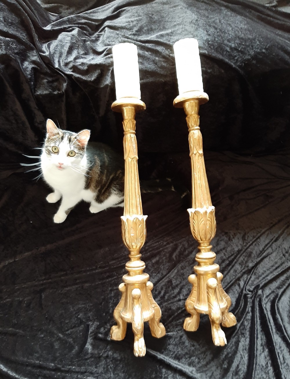 Handsome Pair of 18th Century Giltwood Alter Sticks View V