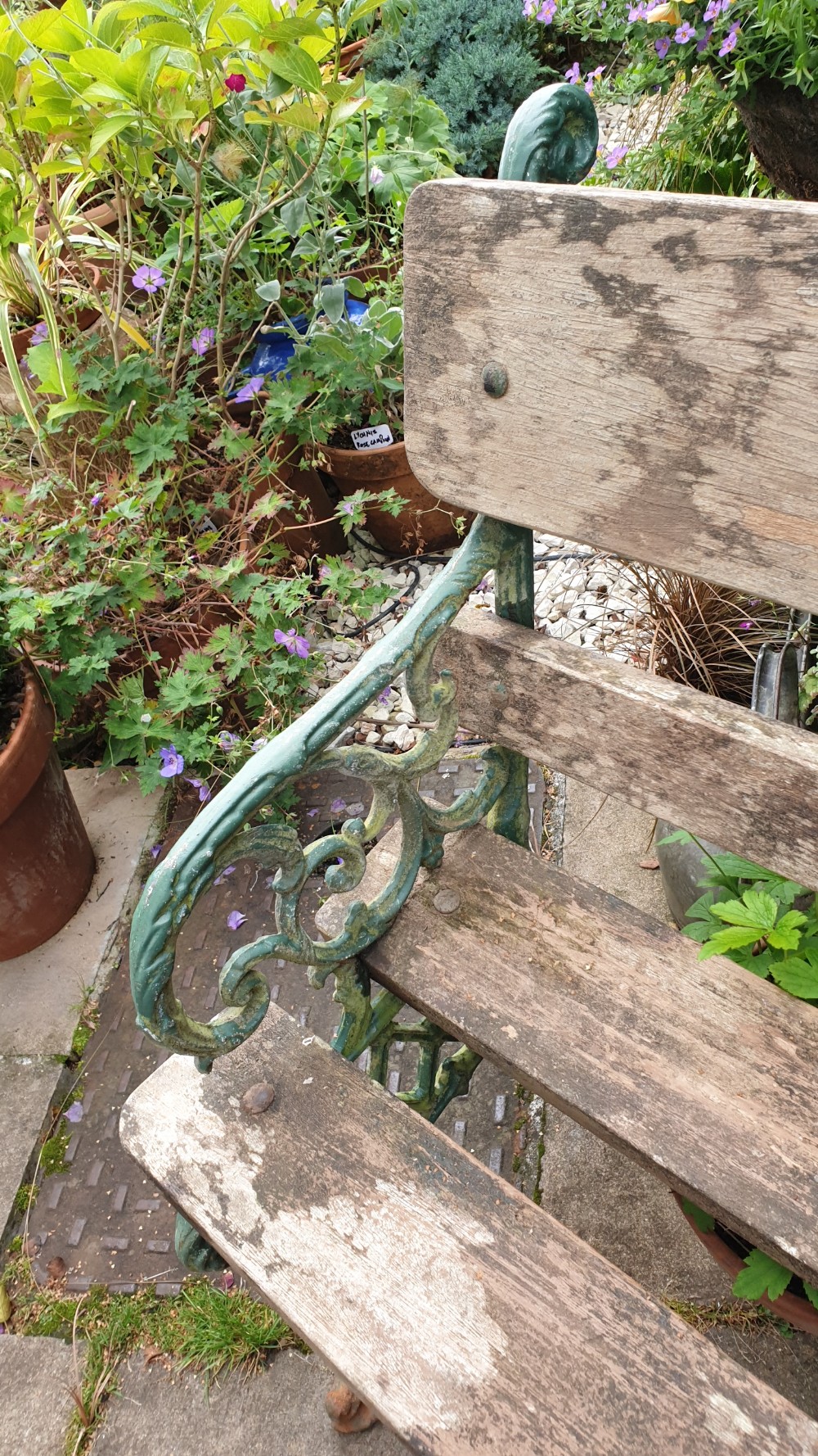 19th Century Garden Bench View IV