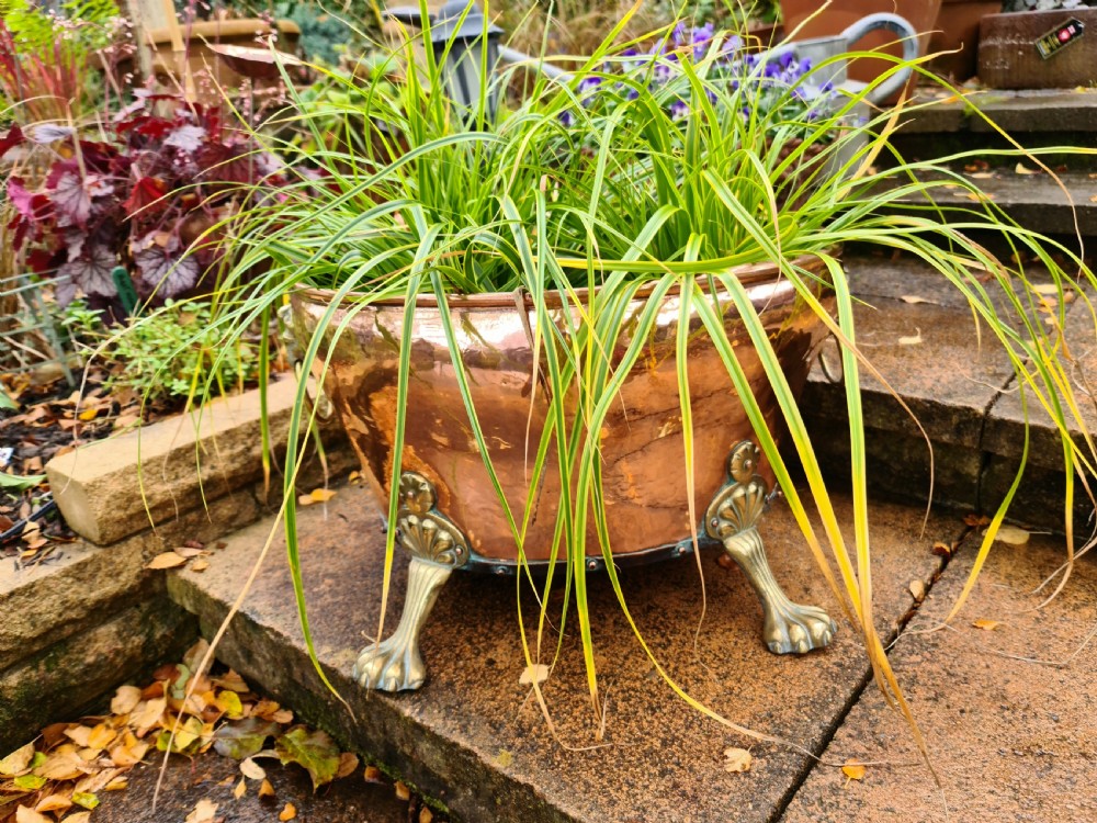 Good sized Early 19th Century Copper Jardiniere or Champagne Bucket View III