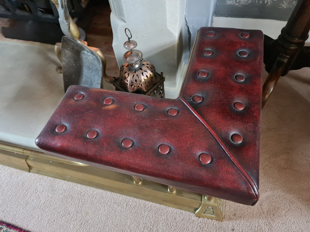 Early 20th Century Extending Club Fender View IV