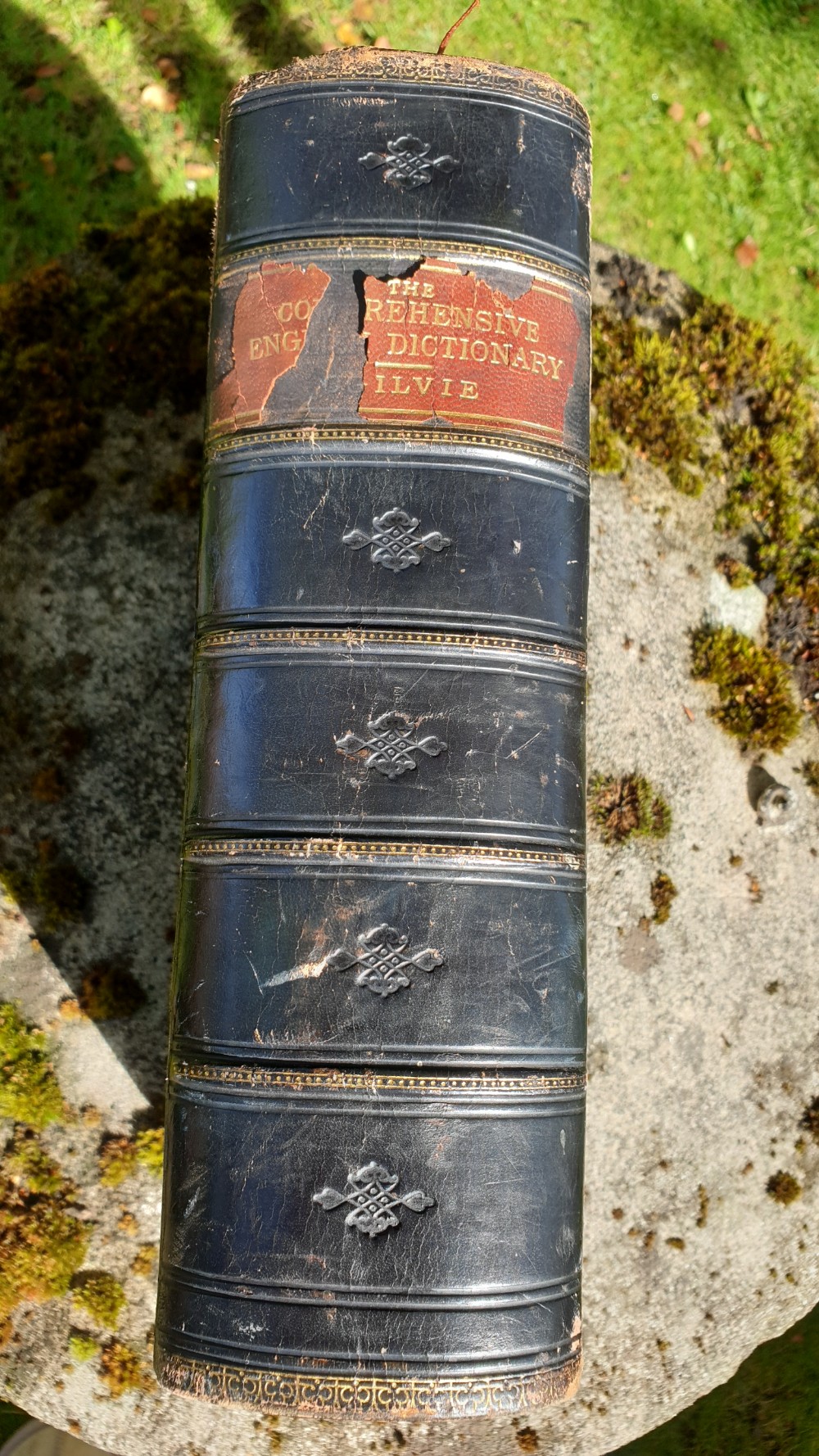 Large Victorian Dictionary View III