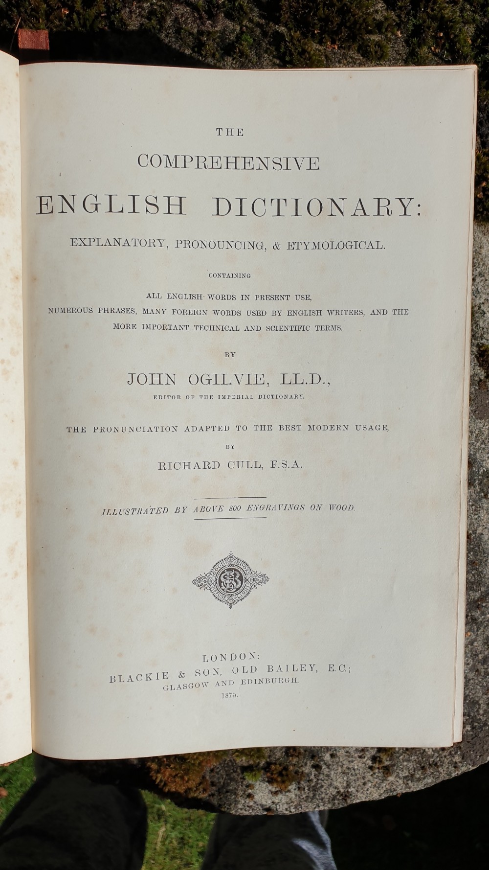 Large Victorian Dictionary View IV
