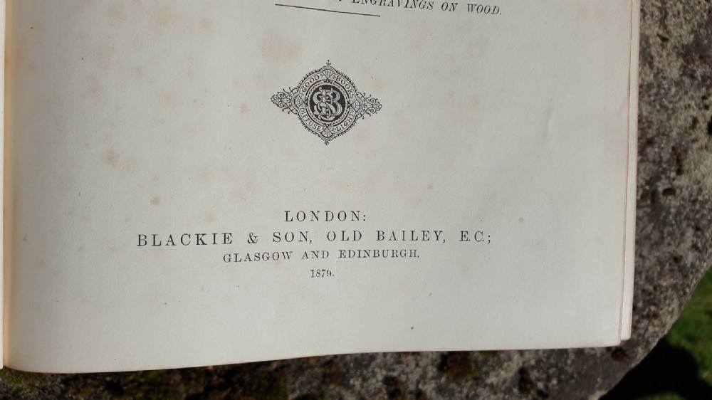 Large Victorian Dictionary View V
