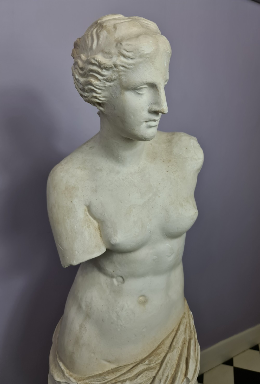 Wonderful Reduced Model of Venus de Milo View II