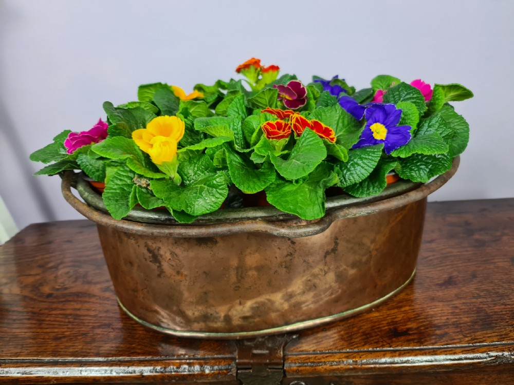 19th century Oval Copper Planter