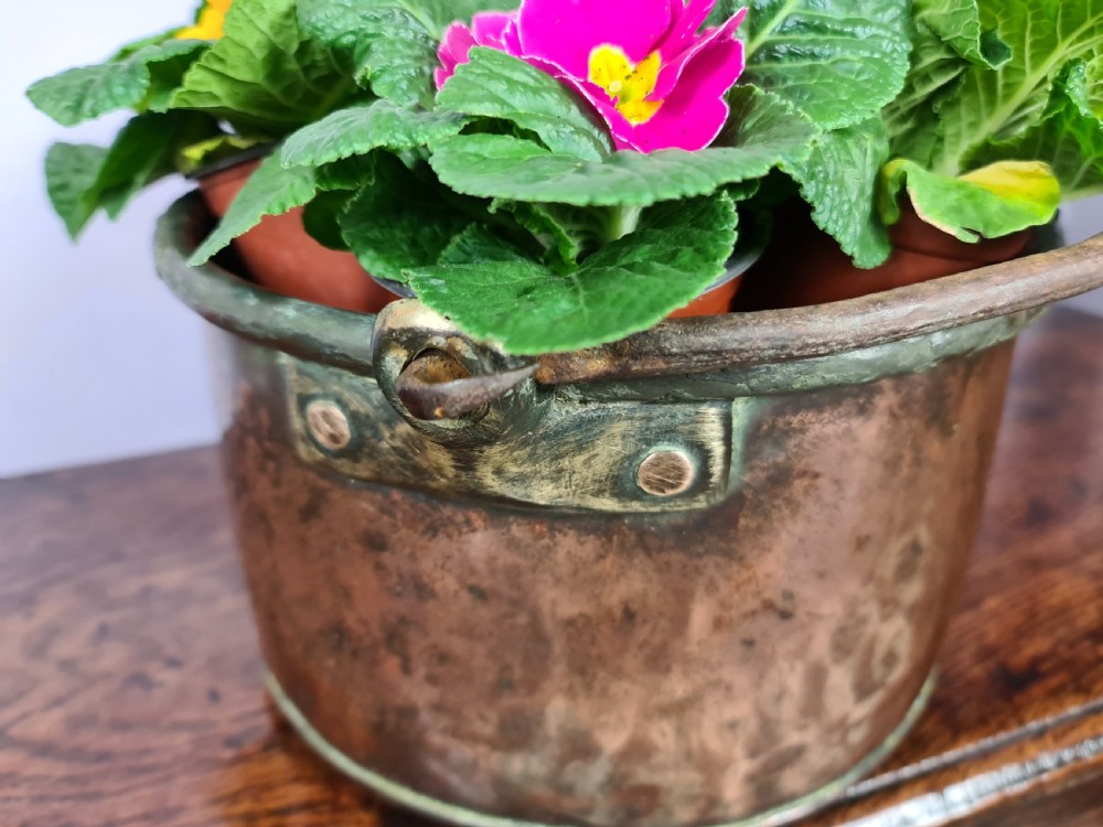 19th century Oval Copper Planter View III