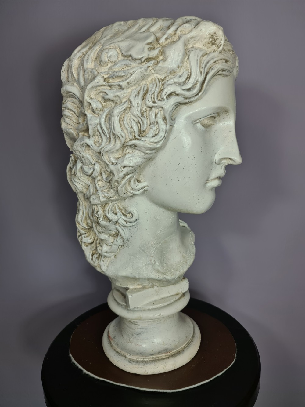 19th Century Glazed Plaster Bust View VI