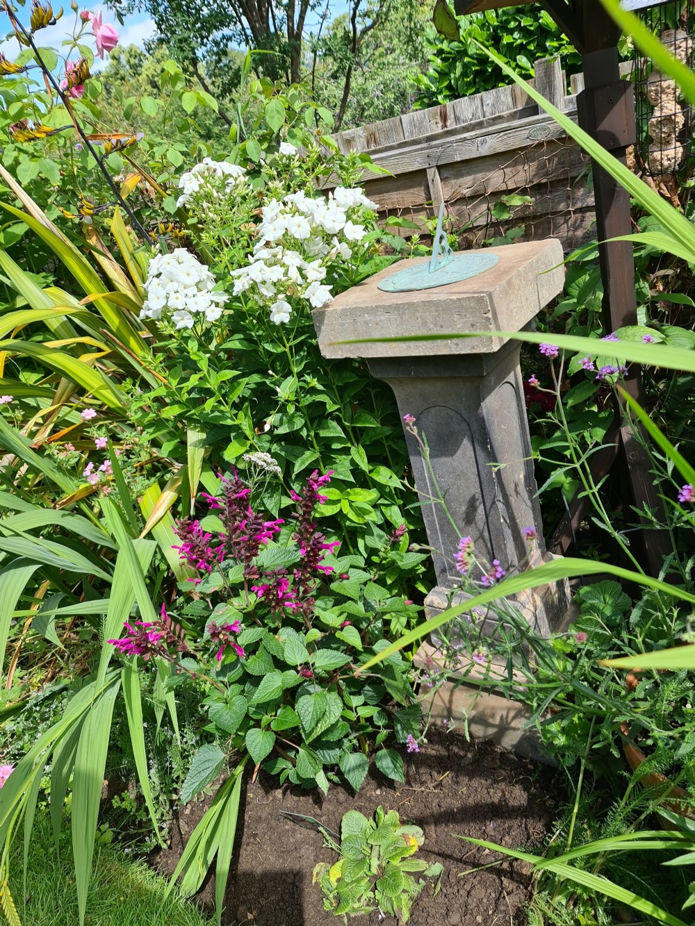 Early 19th Century Stone Sundial View XI