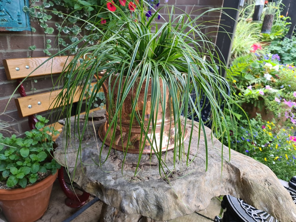 Large French Copper Pot View VI