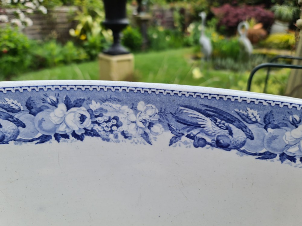 Rare Regency Blue & White Parrot Border Foot-bath View VI