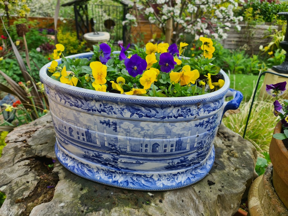 Rare Regency Blue & White Parrot Border Foot-bath View X