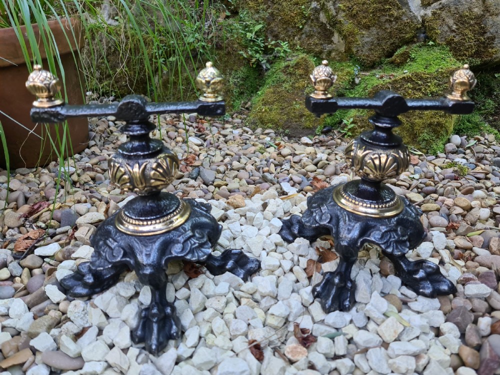 Extremely Unusual and Ornate pair of Fire Dogs View IX