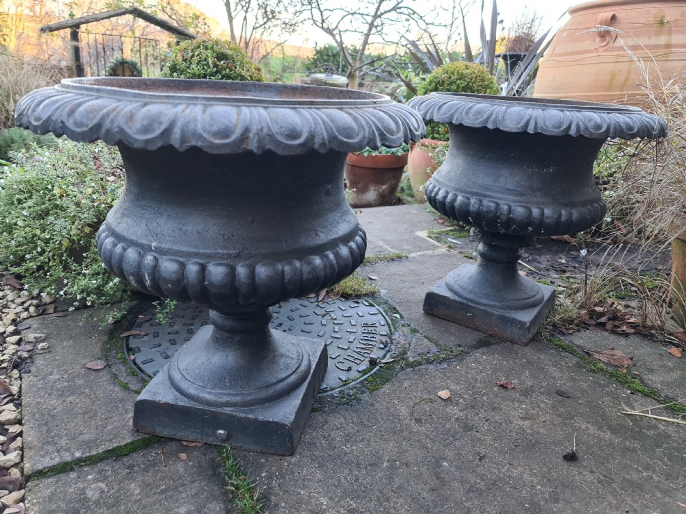 Handsome Pair of Cast-iron Urns View VI