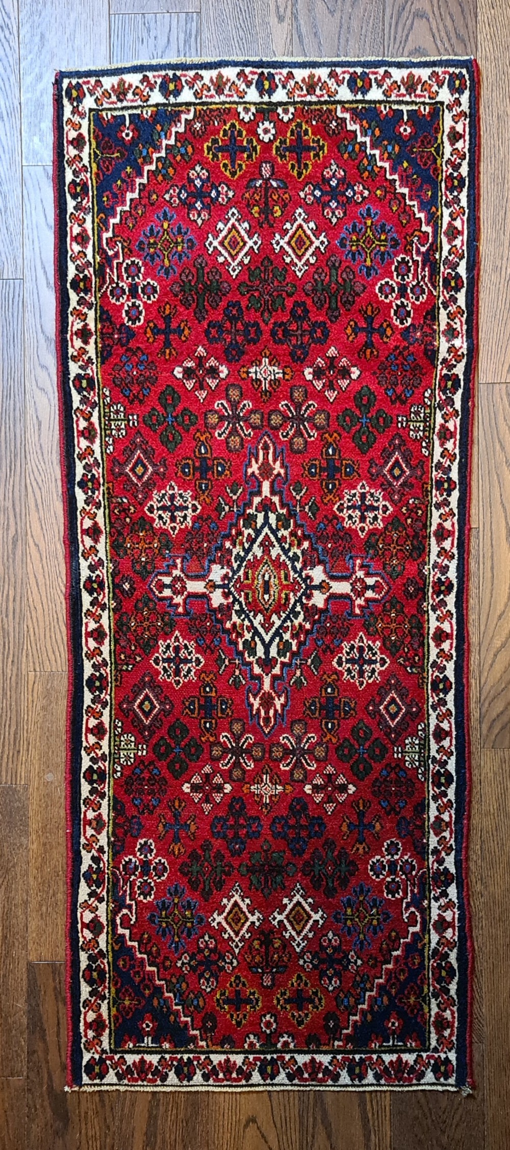 Beautiful Joshagan Runner