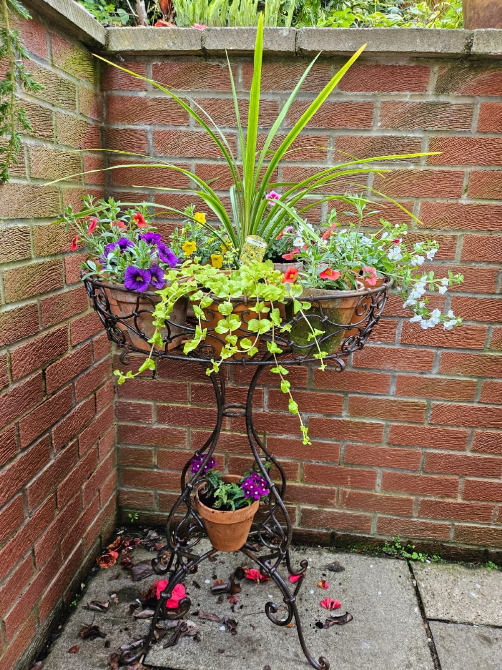 Stylish 19th Century Basket Plantstand View II
