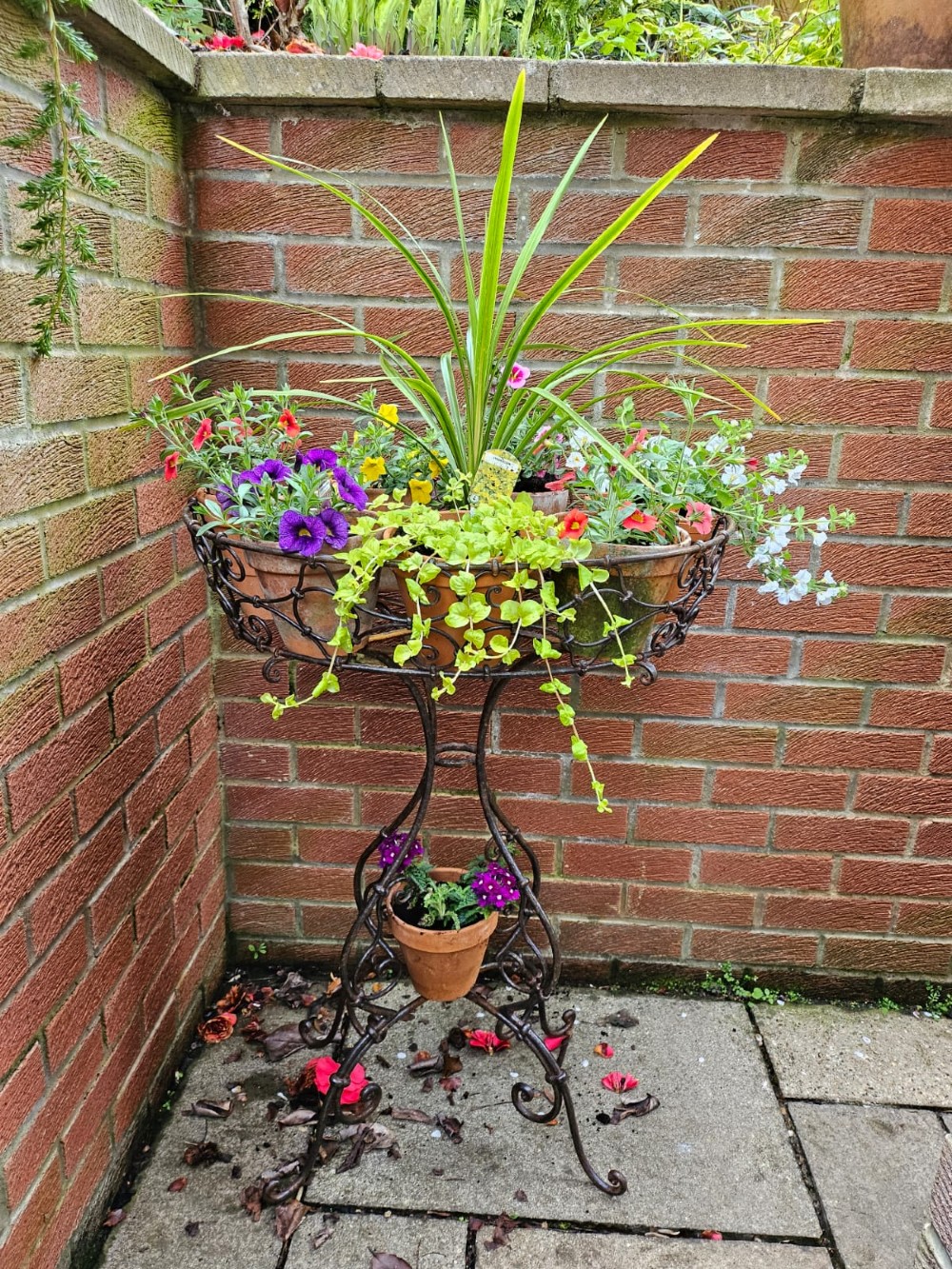 Stylish 19th Century Basket Plantstand View III