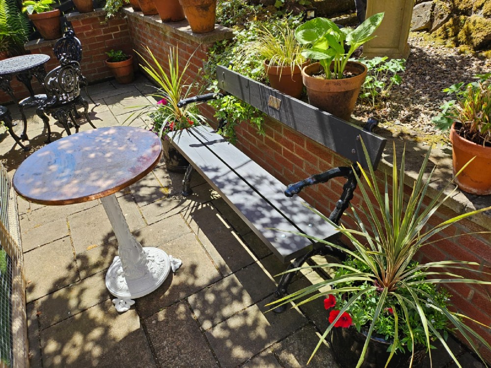 A 19th-century style garden bench featuring black cast-iron ends moulded into a branch motif with dark wooden slats forming the seat and backrest. View IV