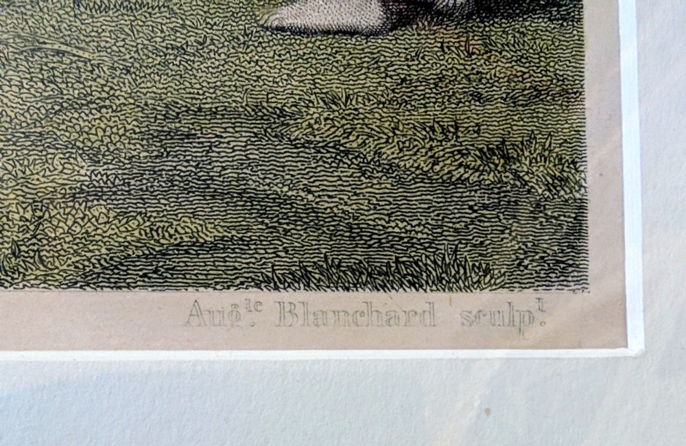 A panoramic 19th-century framed print depicting a densely populated scene at the Epsom Derby within a cream mount and gilt wooden frame. View VIII