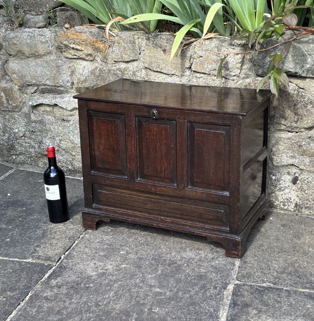 Small 18th century Welsh Oak Coffer View II