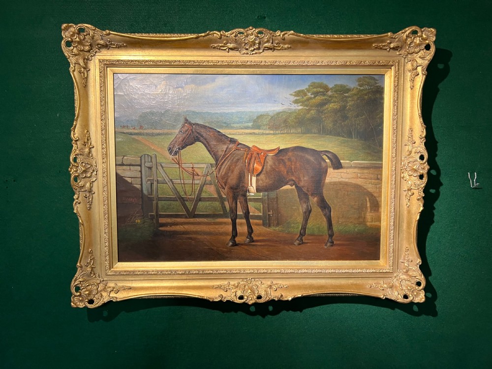 'Shaughraun' by Edward Lloyd