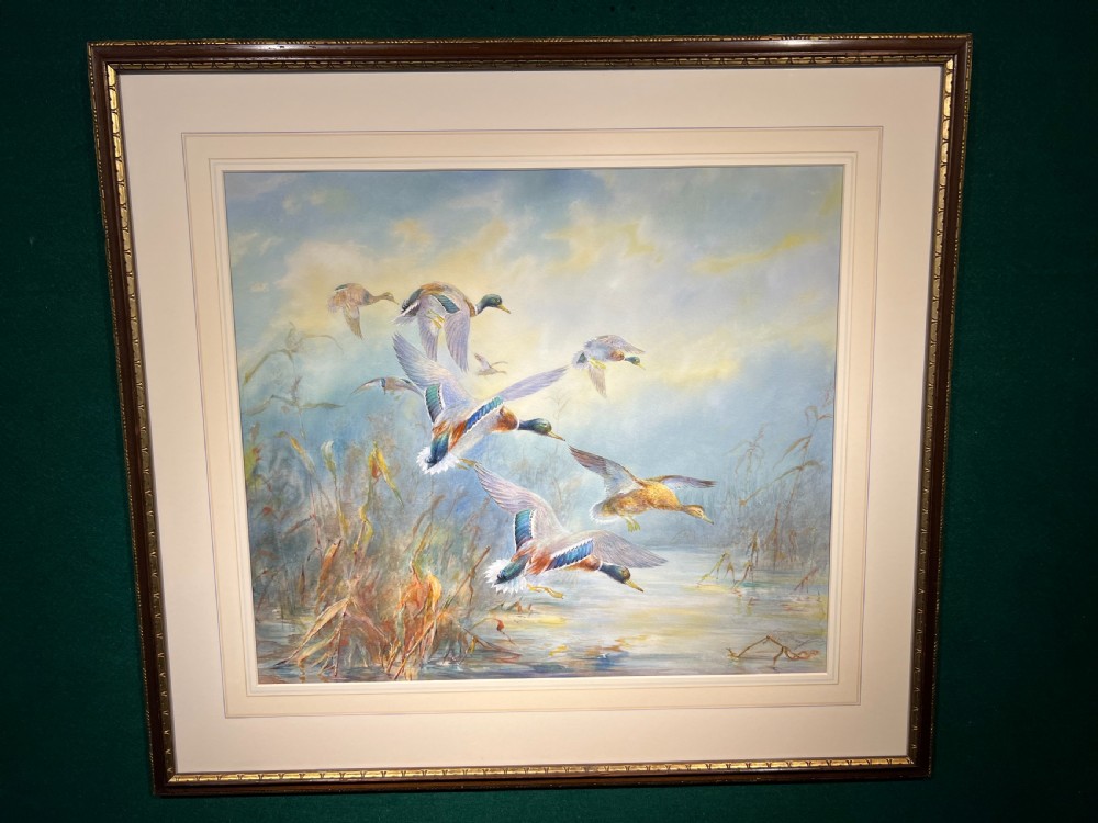 A framed watercolour painting depicting a flock of mallard ducks flying over a misty wetland under a soft sky.
