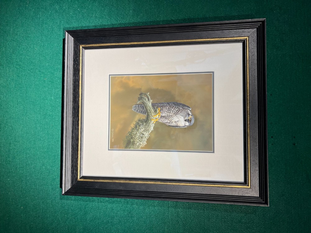 A framed watercolour painting depicting a peregrine falcon perched on a lichen-covered branch against an ochre background, housed in a dark wooden frame with gold inner trim.