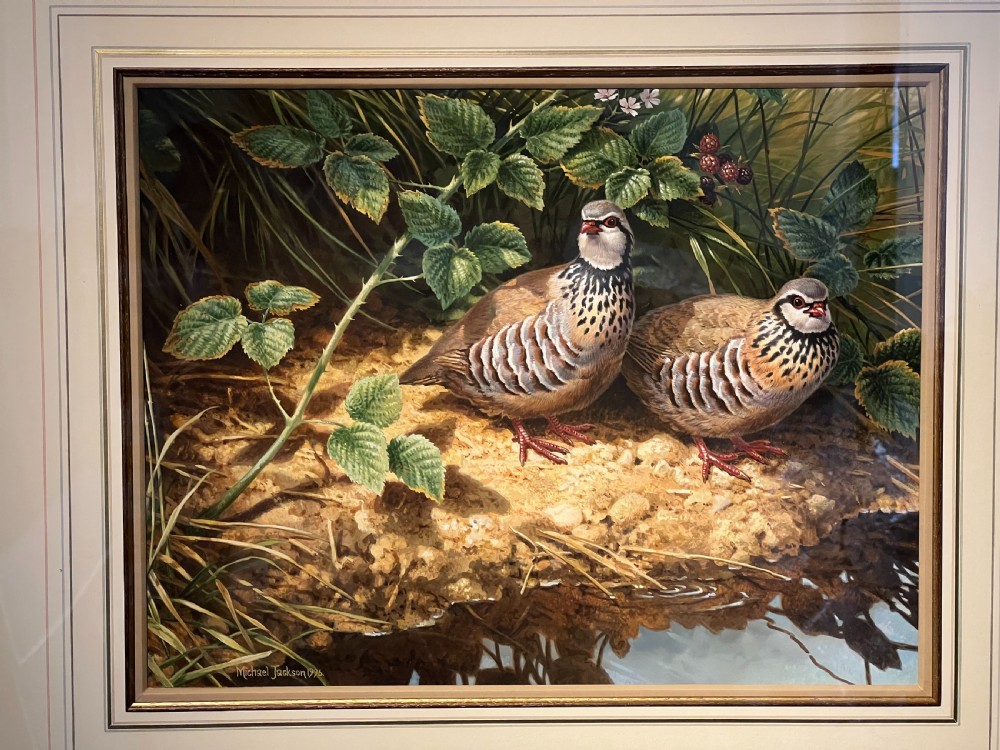 Michael Jackson - Red Legged Partridges - Watercolour