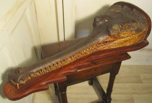 19th Century Taxidermy of a Crocodile Head, Wall Shelf Trophy