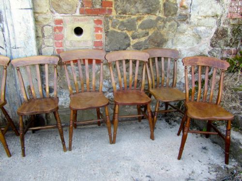 fig 2. A Harlequin Set of 8 Beech & Elm Country Kitchen Dining Chairs