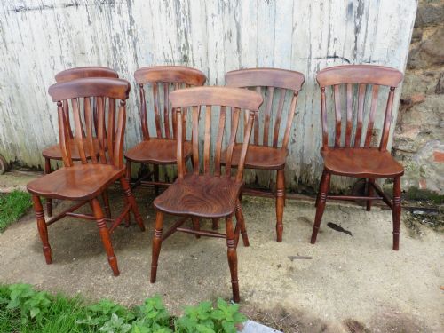 A Harlequin Set of 6 Beech & Elm Country Kitchen Dining Chairs