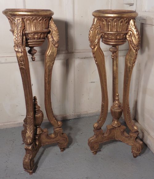A Stunning Pair of Large French Gilt Wood Jardiniere