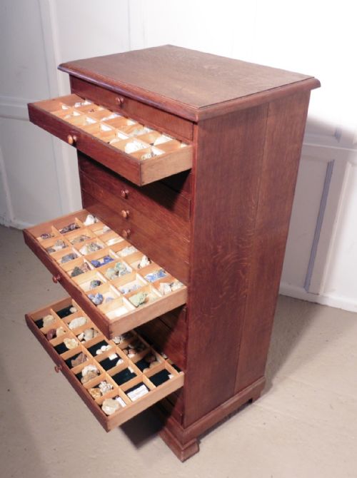 French Mineral and Fossil Specimen Collection and Cabinet.