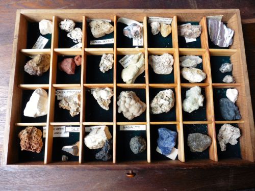 fig 2. French Mineral and Fossil Specimen Collection and Cabinet.