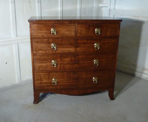 Regency Walnut Chest of Drawers