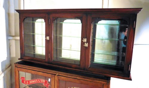 Victorian Mahogany Wall Hanging Chemist Cabinet Collectors Cupboard