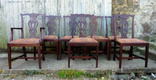 A Set of 7 Chippendale Mahogany Dining Chairs