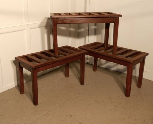 fig 1. Set of 3, 19th Century Mahogany Luggage Rack, Suitcase Stand