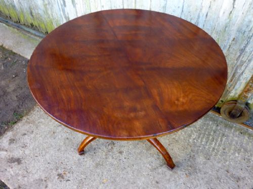 fig 1. Georgian Yew Wood Tilt Top Table