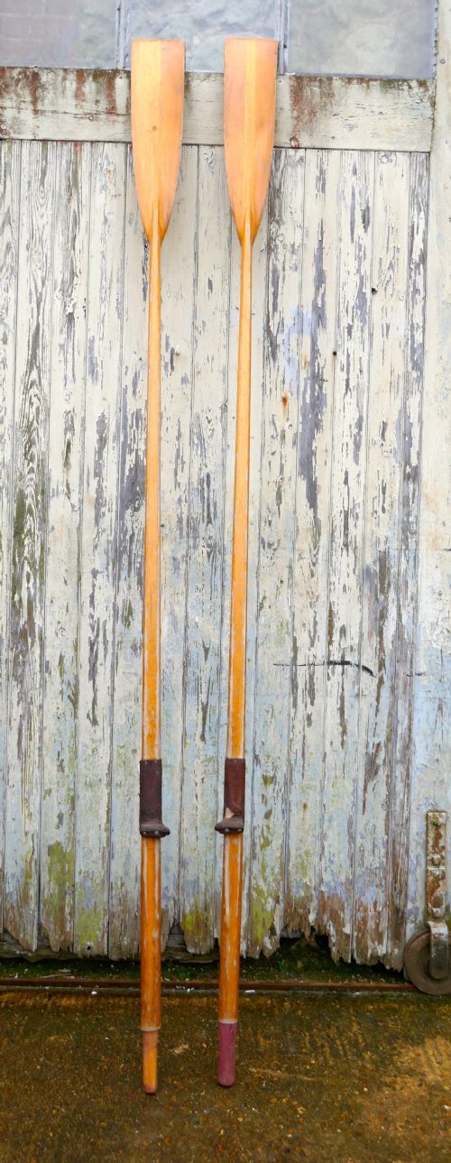 fig 1. A Pair of Decorative Very Long Sculling Oars