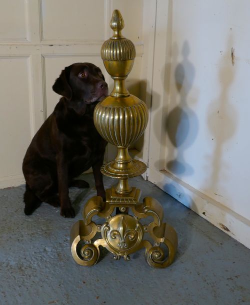 fig 1. Enormous and Heavy Pair of French Brass Andirons,Fire Dogs or Chenets