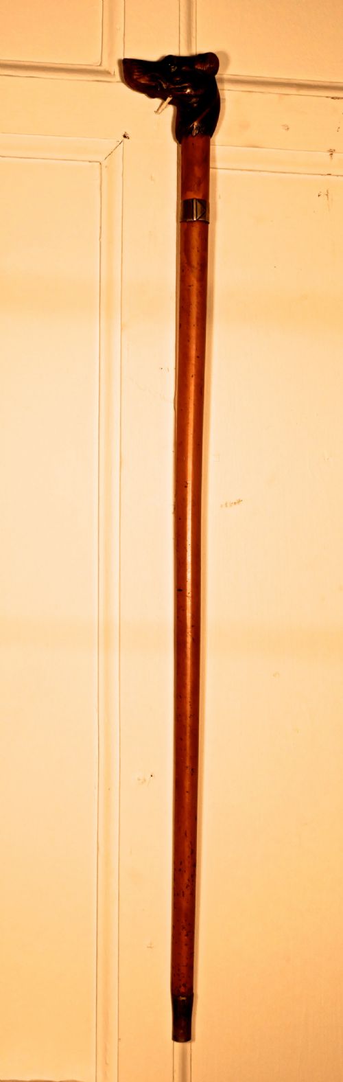 fig 1. Malacca Cane with Carved Dog Head and Silver Collar